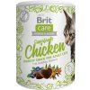 Brit Care Cat Snack Superfruits kuracie 100 g