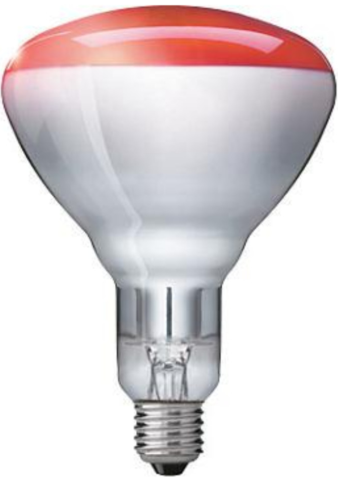 Philips 923212043801 infračervená lampa 250 W Žiarovka 57521025