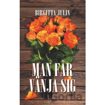 Man får vänja sig - Birgitta Julin