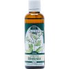 Naděje Řimbaba tinktura z pupenů 50 ml