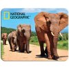 Prime3D magnet Africkí slony