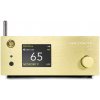 Gold Note DS-10 EVO LINE - Gold