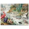 Skicak Shkolyaryk Muse Drawing A4+, 20 listov