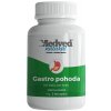 Medveď natural Gastro pohoda 60 kapsúl