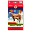 Koh-i-noor pastelky TRIOCOLOR trojhranné souprava 24 ks v papírové krabičce