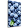 Vertikálny moderný fotoobraz canvas na ráme Jahody 50x100 cm