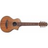 Ibanez EWP14WB Natural