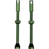 bezdušové ventily Peaty's X chris king MK2 80 mm