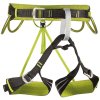 Camp Alpine Flash
