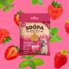SOOPA Zdravé maškrty jahodové Dog-Quiri 50g - 50 g