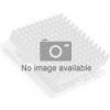 Fujitsu Intel Xeon Gold 5415+ PY-CP65XT (PY-CP65XT)
