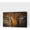 Vymalujsisam.sk Maľovanie podľa čísiel - Leopard zblízka Veľkosť: 40x60cm, Rám: Na plastovej doske