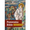 Panorama Bible Starý zákon - Stephen J Binz
