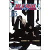 Bleach 15 - Tite Kubo