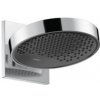 HansGrohe 26226000