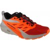 Salomon Sense Ride 5 M 470462