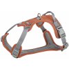 Postroj PREMIUM ACTIVE, M-L: 60-75 cm, / 25 mm, hrdzavá