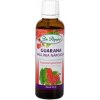 Guarana bylinné kvapky DR. POPOV 50 ml