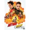 Ant Man a Wasp DVD