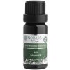 Nobilis Tilia Éterický olej Bio Borovice 10 ml