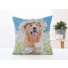 Carbotex Obliečka na vankúš 40 × 40 cm - Zlatý Retríver Amálka- -