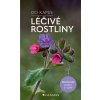 Léčivé rostliny - Do kapsy - Eva Dreyerová-Maria