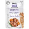 Brit Care Cat Kitten Fillets in Jelly with Savory Salmon 85 g