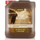 Canna BIO Boost 5l