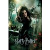 Plagát, Obraz - Harry Potter - Belatrix Lestrange, 26.7 × 40 cm