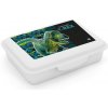 KARTON P+P Box na desiatu s priehradkou Premium Dinosaurus