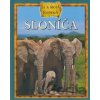 Sloníča - Ja a moja rodina - Ikar