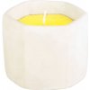 Strend Pro Citronella cement 90 x 75 mm