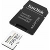 SanDisk microSDHC 256GB SDSQQNR-256G-GN6IA