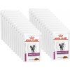 ROYAL CANIN Renal s rybami 2x(12x85g)