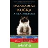 E-kniha Dalajlamova kočka a síla meditace - David Michie