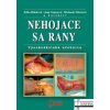 Nehojace sa rany - Hlinková Edita, Nemcová Jana, Miertová Michaela