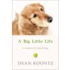 Big Little Life
