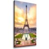 Vertikálny foto obraz na plátne Eiffelová veža Paríž 50x100 cm