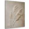 Obraz suchá pampová tráva