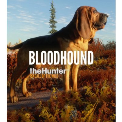 theHunter: Call of the Wild - Bloodhound