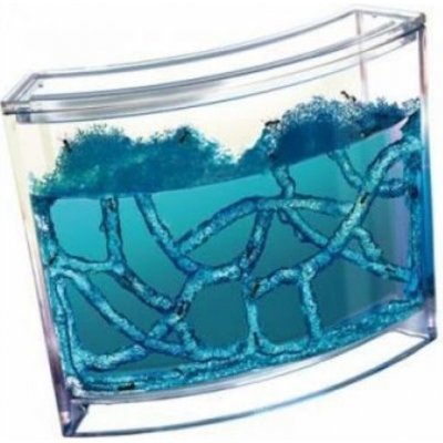 KIK Mravčia akvárium Ant Quarium Domáce mravenisko Blue