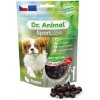 Dr.Animal Dr. Animal Sportline králik 100 g
