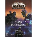 World of Warcraft - Stíny povstávají