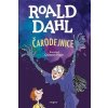 Čarodejnice - Dahl Ronald