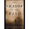 Shadow of the Wind - Carlos Ruiz Zafon, Orion Books