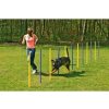 Karlie Agility slalom žlutá/modrá 12x100cm