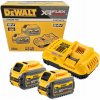 DeWALT DCB118T2