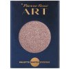 Pierre René Professional Art. Pallette metalické magnetické očné tiene pms náplň 066, 1,3 g