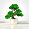 Machový bonsai, Realistický bonsai 25 cm. pre interiér
