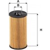 FILTRON Olejový filter FILTRON OE 666/5